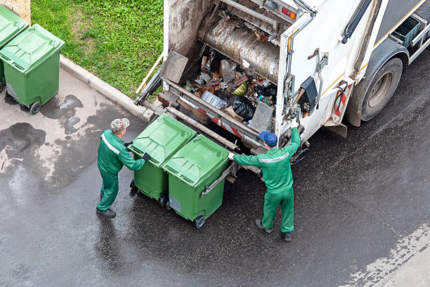 Best Office Junk Removal  in Elbow Lake, MN